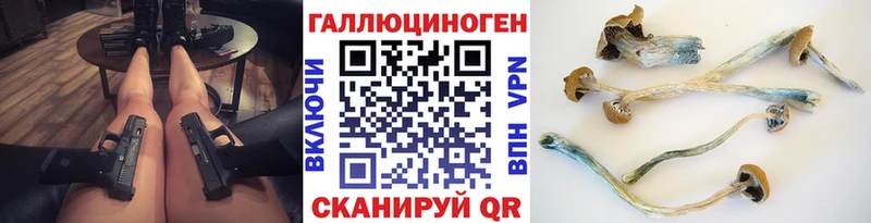 Псилоцибиновые грибы Psilocybe  как найти наркотики  Уржум 